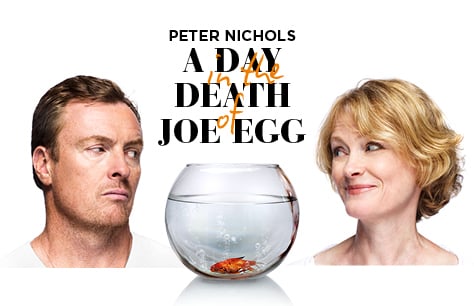 A Day in the Death of Joe Egg Tickets