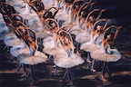 American Ballet Theatre gallery image