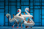 Aracaladanza: Play gallery image