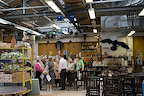 Back Stage Tour - London Coliseum gallery image