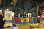 Brainiac Live! gallery image