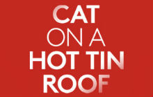 Cat On A Hot Tin Roof tickets