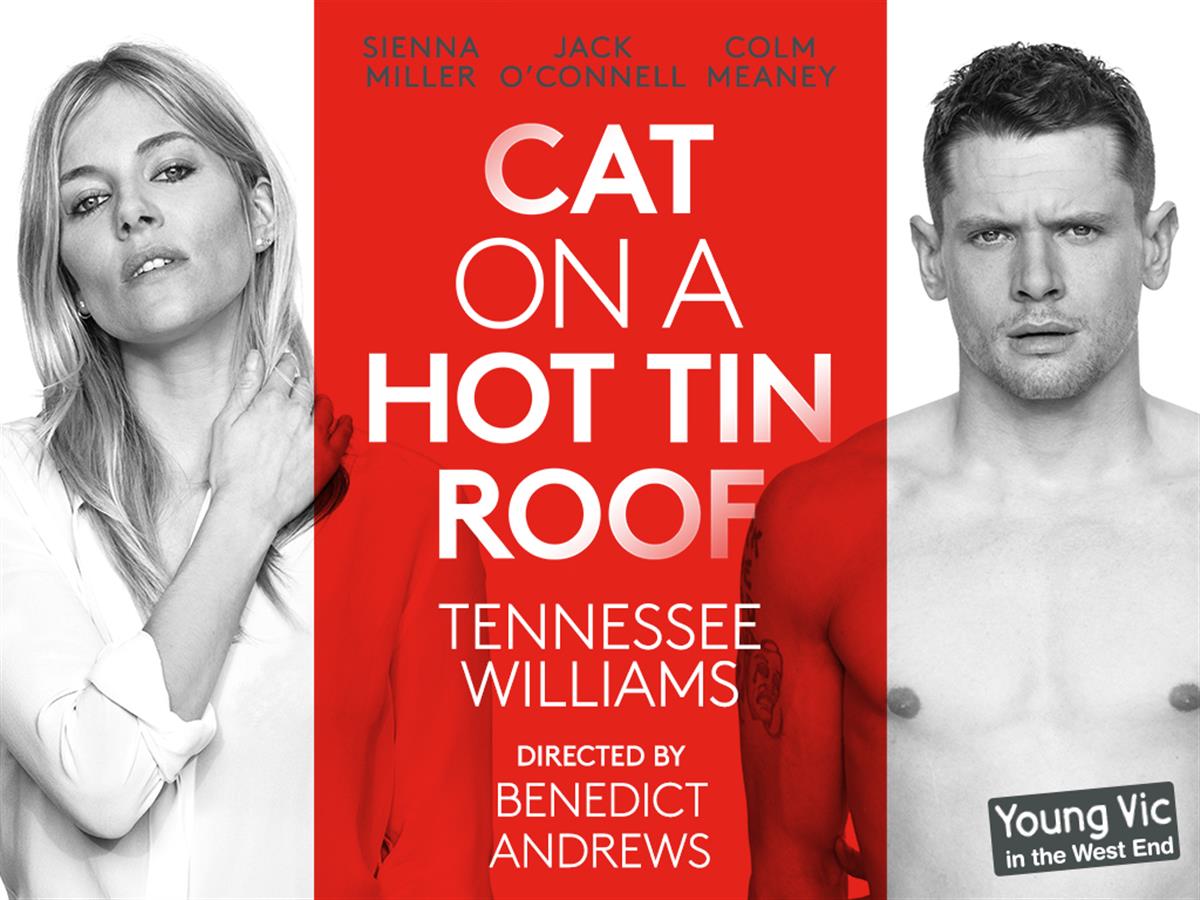 cat on a hot tin roof ending