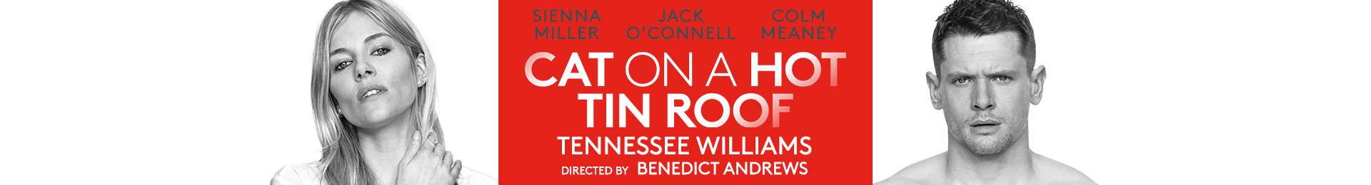 Cat On A Hot Tin Roof tickets