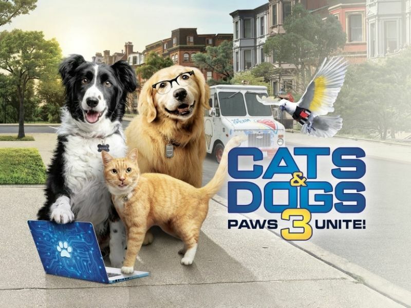 Cinema: Cats and Dogs 3: Paws Unite! gallery image