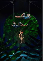 Cirque du Soleil: Luzia gallery image