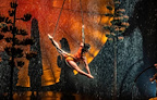 Cirque du Soleil: Luzia gallery image