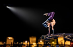 Cirque du Soleil: Luzia gallery image