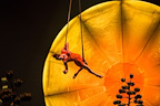 Cirque du Soleil: Luzia gallery image