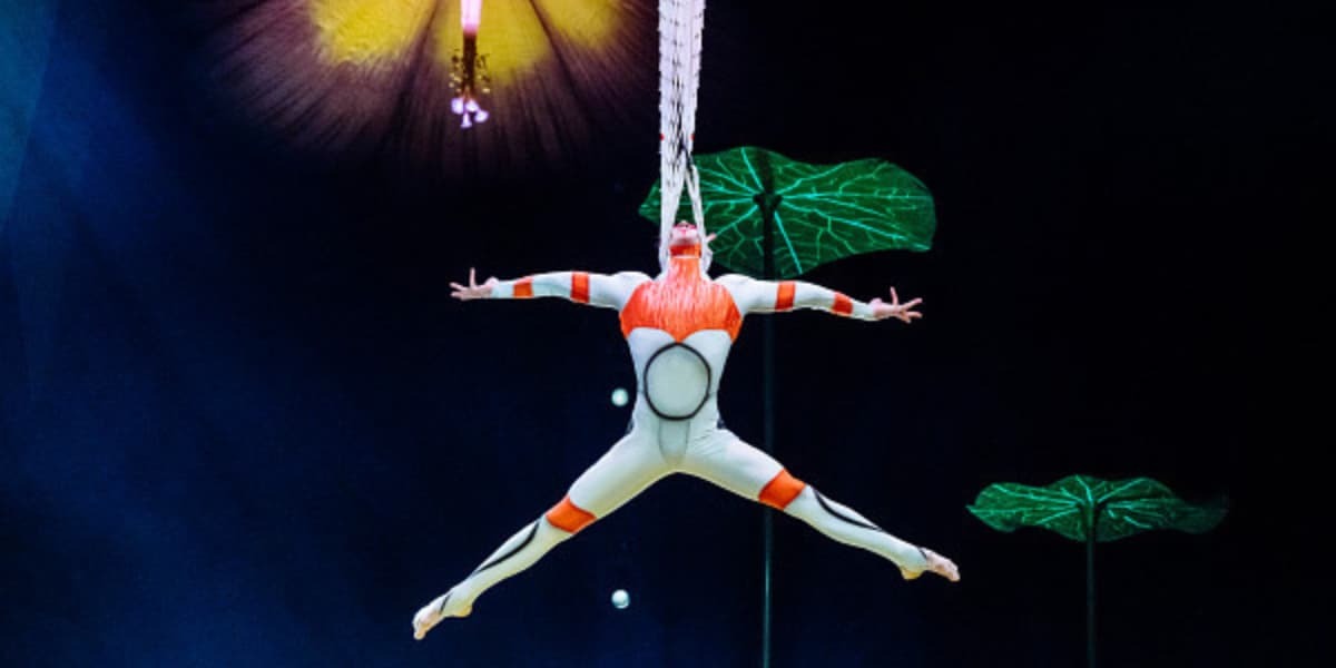 Cirque du Soleil OVO London tickets