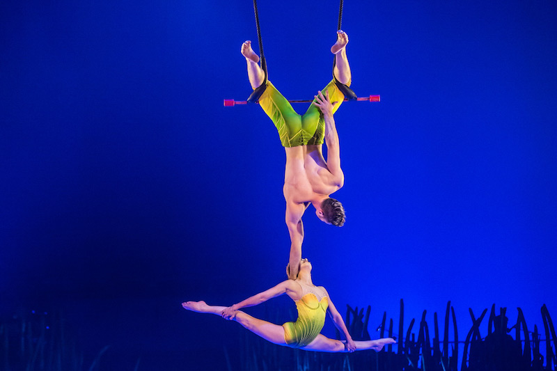 Cirque du Soleil: Totem gallery image