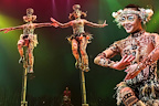 Cirque du Soleil: Totem gallery image