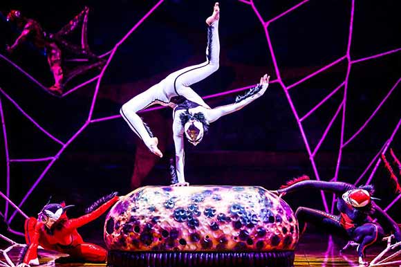 Cirque du Soleil - OVO tickets