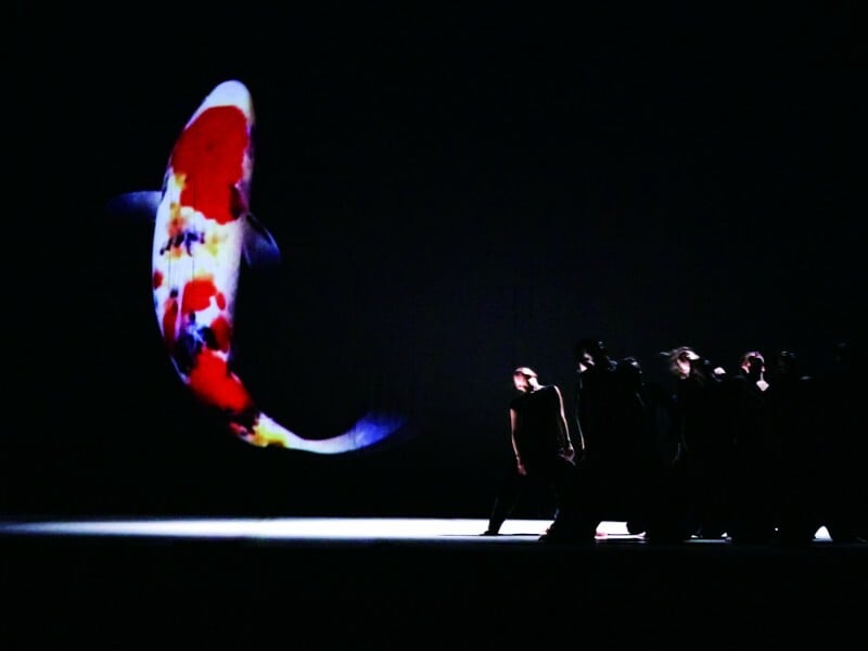 Cloud Gate Dance Theatre of Taiwan — 13 Tongues & Dust gallery image