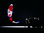 Cloud Gate Dance Theatre of Taiwan — 13 Tongues & Dust gallery image