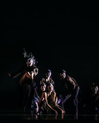Cloud Gate Dance Theatre of Taiwan — 13 Tongues & Dust gallery image