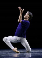 Dutch National Ballet: Hans van Manen gallery image