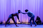 Equus gallery image