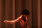Equus gallery image