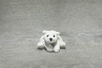 F*ck The Polar Bears tickets Bush Theatre