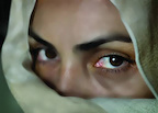 Fever Chart, The gallery image