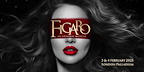 Figaro: An Original Musical gallery image