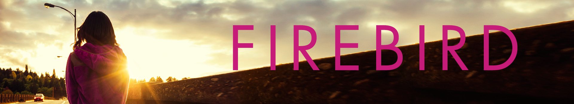 Firebird banner image