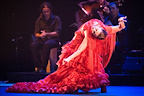 Flamenco Festival gallery image