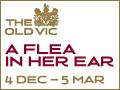 Flea in Her Ear gallery image