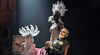 Follies gallery image