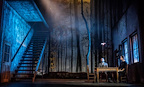 Foxfinder gallery image