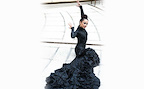 Gala Flamenca 2017 tickets