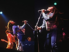 Get Up Stand Up! The Bob Marley Musical gallery image
