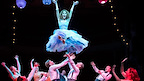 High Society gallery image