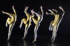 Hofesh Shechter Company — barbarians gallery image