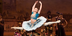 Le Corsaire gallery image