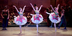 Le Corsaire gallery image