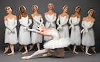 Les Ballets Trockadero de Monte Carlo gallery image