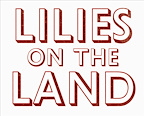 Lilies On The Land gallery image