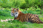 London Zoo gallery image