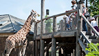 London Zoo gallery image