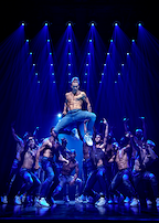 Magic Mike Live gallery image