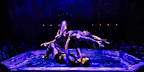 Magic Mike Live tickets