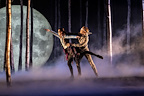 The company of Matthew Bourne's Sleeping Beauty in Matthew Bourne's Sleeping Beauty.