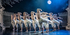 New Adventures Matthew Bourne's Swan Lake The Next Generation gallery image