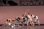Morphoses gallery image
