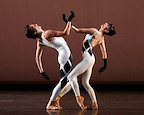 Morphoses gallery image