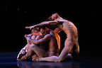 Morphoses gallery image