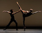 Morphoses gallery image