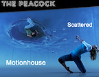 Motionhouse — Scattered tickets